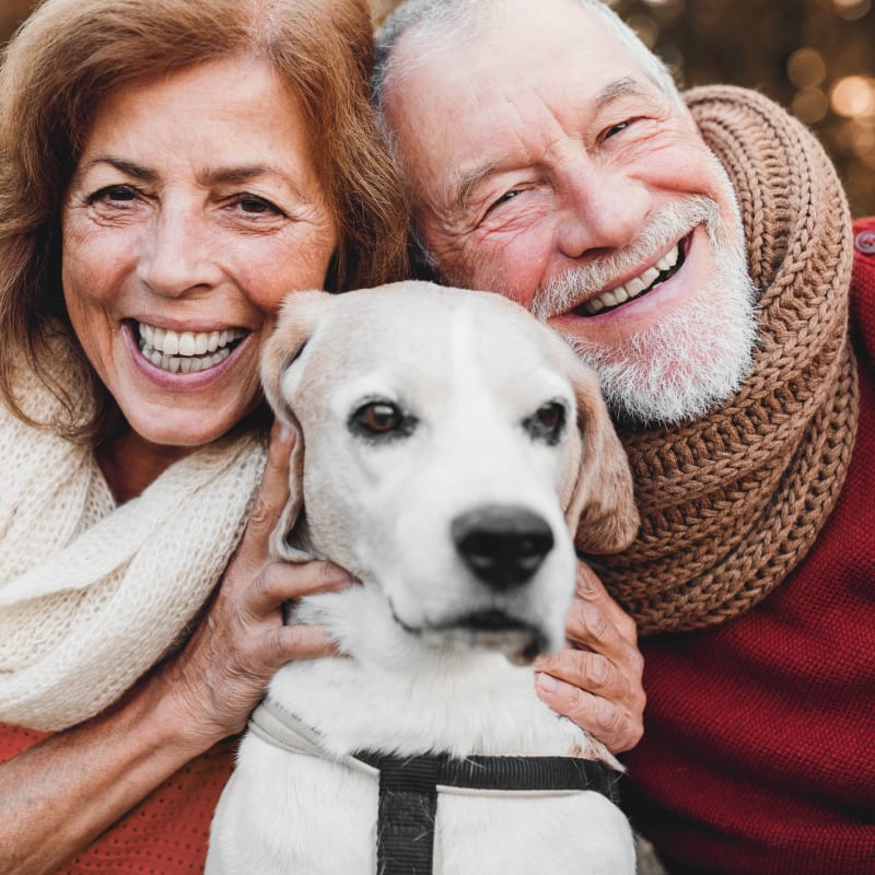 Four Corners Veterinary Hospital in Concord